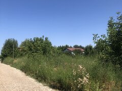 Domnesti, Ilfov