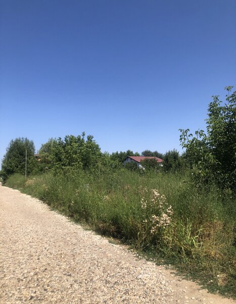 Domnesti, Ilfov,