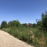 Domnesti, Ilfov