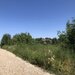 Domnesti, Ilfov,